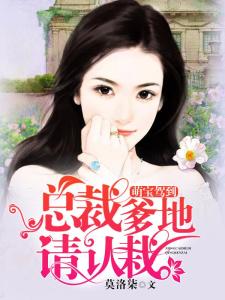 萌娃来袭总裁爹地追妻上瘾短剧全集剧情介绍 萌娃来袭:总裁爹地追妻忙--第1张
