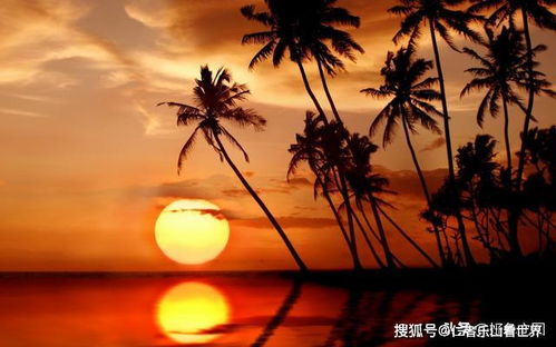 日落时爱你是什么意思 日落时分爱上你短剧全集剧情介绍--第1张