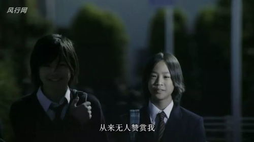 双生花的甜蜜复仇，全集剧情介绍与演员表--第1张