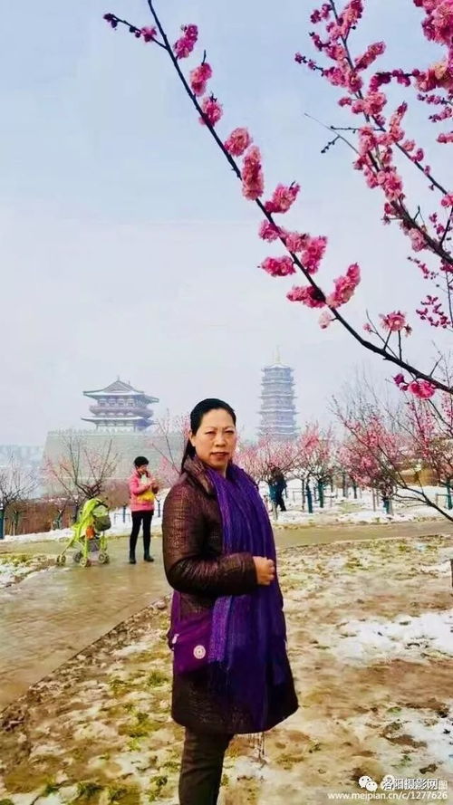 花开正艳整形合版短剧全集，花开正艳是啥意思--第1张