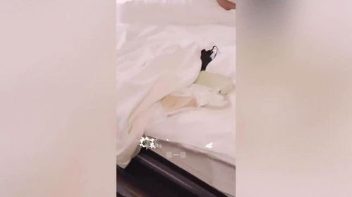 总裁夫人不好追短剧全集剧情介绍，总裁夫人不好追短剧全集剧情介绍大全--第1张