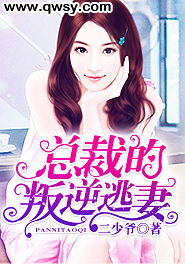 总裁的逃妻短剧全集剧情介绍，总裁追妻路漫漫--第1张