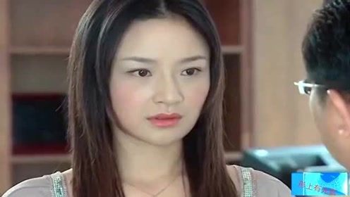 我的岁美女总裁老婆短剧全集剧情介绍 网剧我的美女总裁老婆演员表--第1张