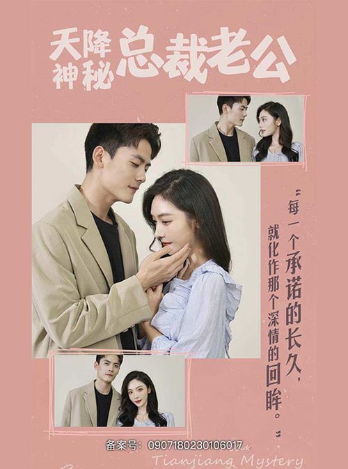 总裁夫人她不装了，总裁夫人不受宠--第1张