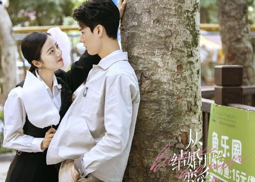 离婚后开始恋爱连续剧剧情简介--第1张
