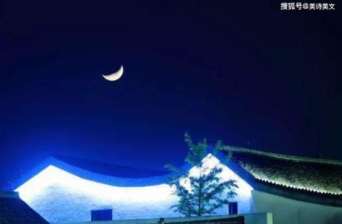 成仙啥意思 成仙在即，师傅拿出百封婚书短剧全集剧情介绍--第1张