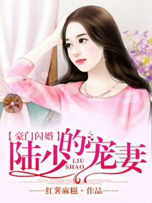 闪婚如蜜，厉先生宠妻无度--第1张