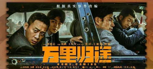 万里归途短剧大结局，揭秘冒险之旅的惊心动魄。--第1张