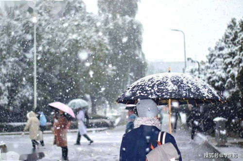 宫墙下雪之宫墙雪短剧全集剧情介绍--第1张