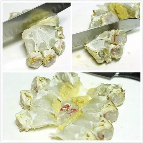 网爆绝不妥协剧情简介--第1张