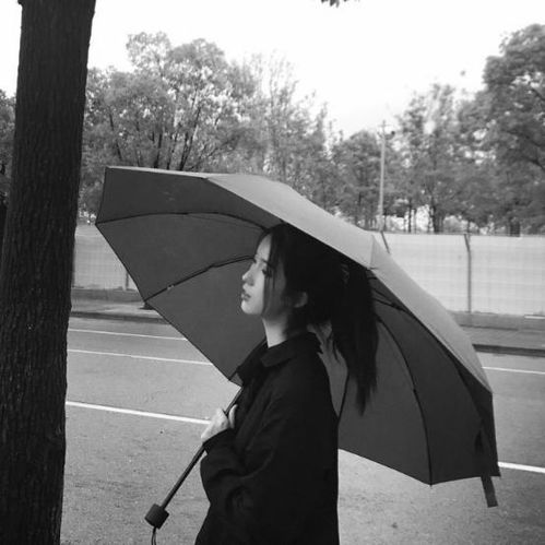 被绿后非常霸气的话的句子，被美女包围后，我霸气回击出轨渣男！--第1张