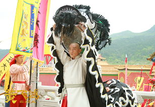 电视剧国士无双 国士无双短剧全集剧情介绍--第1张
