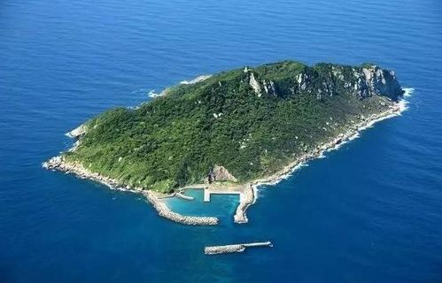 后宫凶是什么生肖 后宫神医太凶猛，后宫唯一的男人短剧全集剧情介绍--第1张