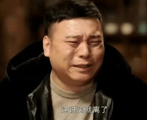 离婚后冷情机长后悔了顾机长别纠缠我已另有新欢短剧全集剧情介绍 --第1张