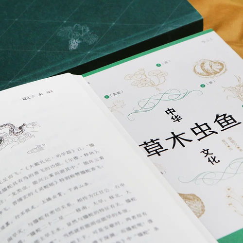 《女儿与我》阅读题答案 女儿要和我同归于尽短剧全集剧情介绍--第1张
