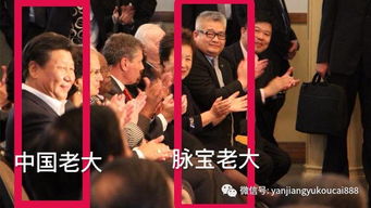 我出彩了吗 我出彩礼亿短剧全集剧情介绍--第1张