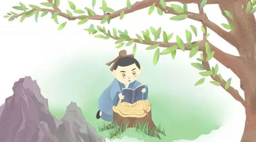危墙之下指什么生肖 危墙之下短剧全集剧情介绍--第1张