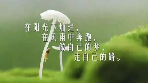 人生哲理句子精辟_人生哲理句子精辟八字--第1张