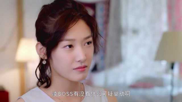 霸道总裁的冷妻全文免费盛夏泡沫 霸道总裁的冷艳娇妻短剧全集剧情信息--第1张