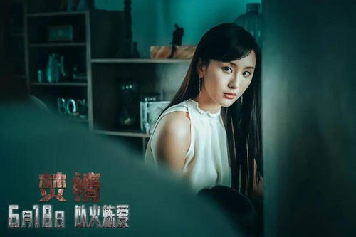 焚情短剧全集剧情信息 焚情短剧全集剧情信息在线观看--第1张