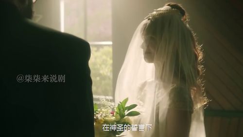 植物人老婆醒了 植物人妻子弃医院，睁眼即巅峰短剧全集剧情信息--第1张