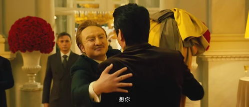 殿下的第一保镖短剧全集剧情信息 殿下的殿--第1张