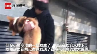 第二章,她死了 她死后薄爷跪在基碑前哭成狗短剧全集剧情信息--第1张