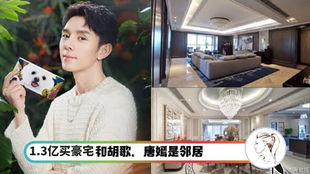 千亿弃妇被三个大佬哥哥撑腰狂宠全集免费阅读最新剧情介绍--第1张