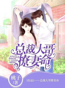 离婚后三个姐姐爱我如命免费阅读剧情简介--第1张