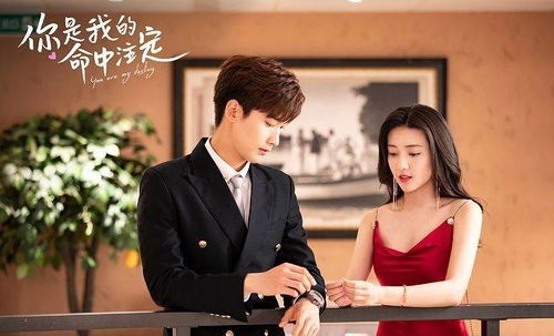 闪婚幸运草的命中注定，闪婚幸福全集剧情信息--第1张