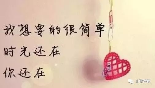 相思不负情短剧全集--第1张