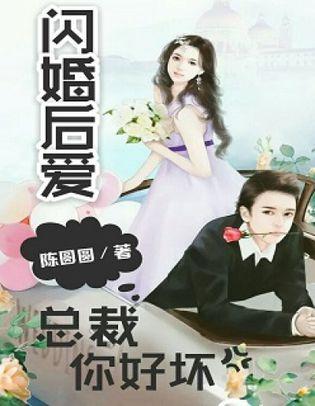 闪婚总裁的甜蜜宠婚--第1张