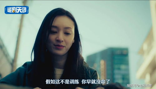 捡了忠犬老公，亿万富翁短剧全集--第1张