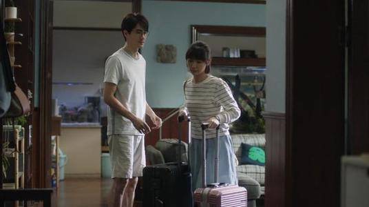 谎言背后，婚姻里的交易小说--第1张