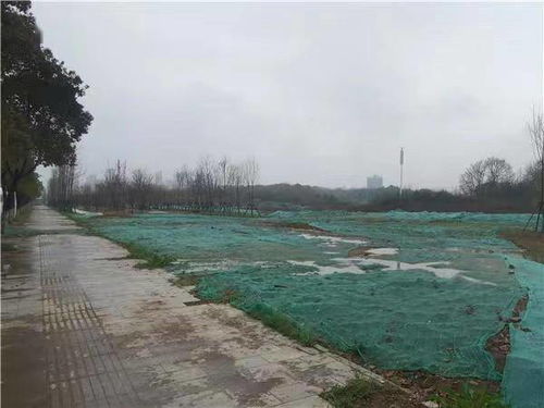 今天相亲成功了一半 相亲当天我成了豪门阔太短剧全集剧情信息--第1张