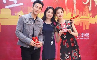 厉总夫人再婚了短剧全集剧情信息分集介绍 厉总夫人再婚了短剧全集剧情信息--第1张