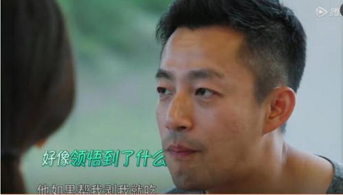 离婚后她怀了帝国总裁的崽穿越双宝我替妈咪牵红线短剧全集剧情信息 --第1张