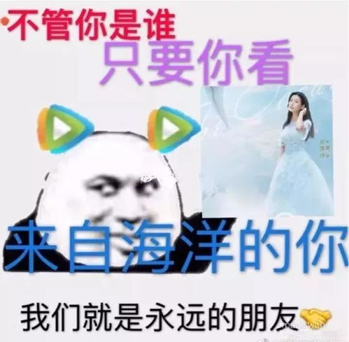 闪婚后爱上来自海洋的你短剧全集剧情信息 闪婚后爱的小说--第1张