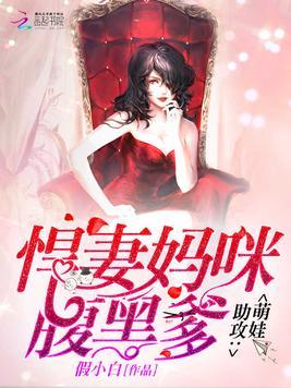 萌宝助攻的小说 萌宝助攻笨蛋老爸快追妻--第1张