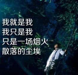 烟火里的尘埃剧情简介--烟火里的尘埃是电视剧向风而行中的短剧。--第1张