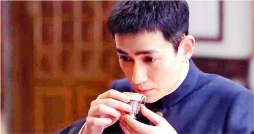 只愿从来不识君，短剧全集--第1张