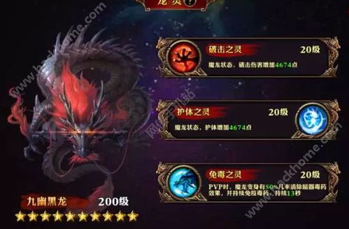 霸道龙尊等个文件短剧全集，霸道龙的神秘图片背后隐藏的剧情信息--第1张