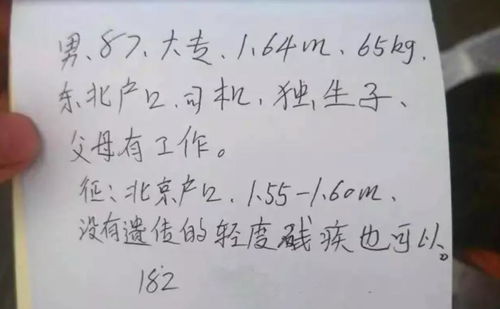 相亲遇车祸全集剧情信息，相亲撞上未婚夫被拉去领证--第1张