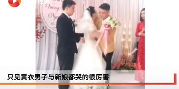 天后从前男友婚礼现场开撕短剧全集剧情信息之天后的前夫是谁--第1张
