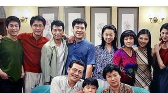 穷儿媳逆袭记，婆媳携手致富之路--第1张