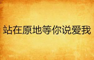 我不会在原地等你--第1张