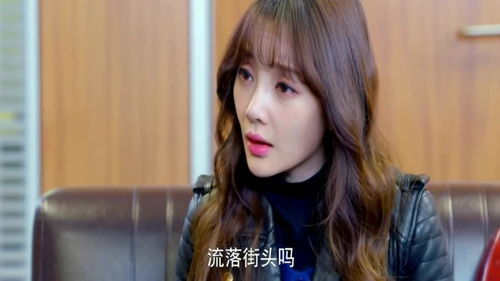 重生从被女总裁 重生从被女儿赶出家门开始--第1张