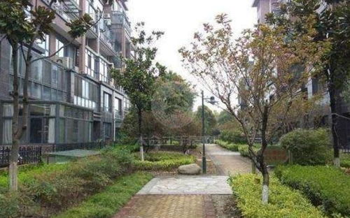 逆子是如何养成的短剧全集剧情信息--第1张