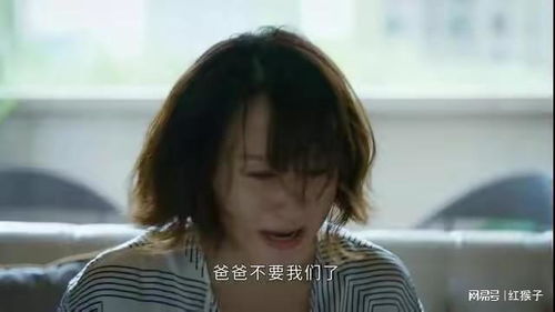 闪婚老公相逢不相识短剧全集剧情信息 闪婚老公免费阅读全文--第1张