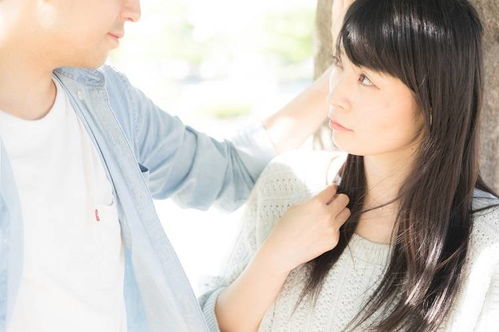 离婚后冷傲前妻悔不当初短剧全集剧情信息 冷傲前妻不好追免费阅读--第1张